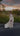 Anne wedding dress